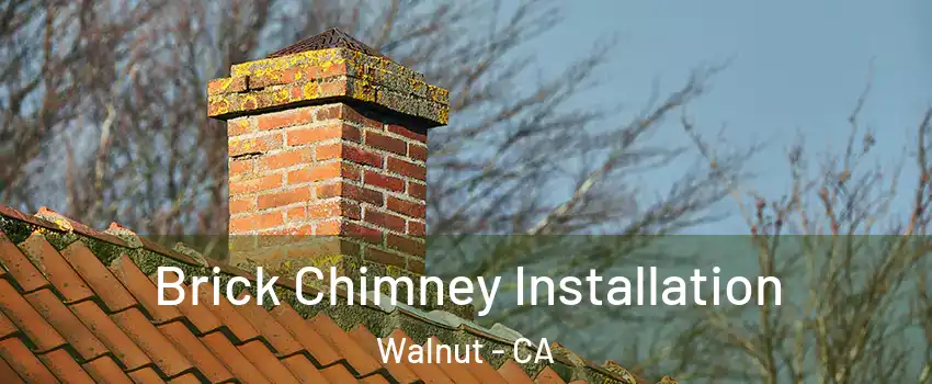  Brick Chimney Installation Walnut - CA