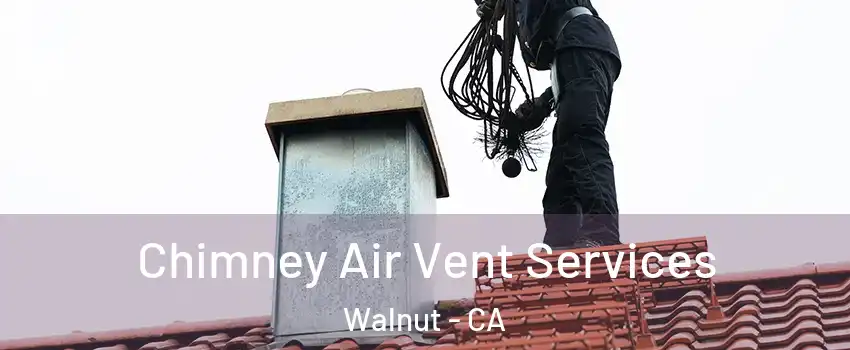  Chimney Air Vent Services Walnut - CA