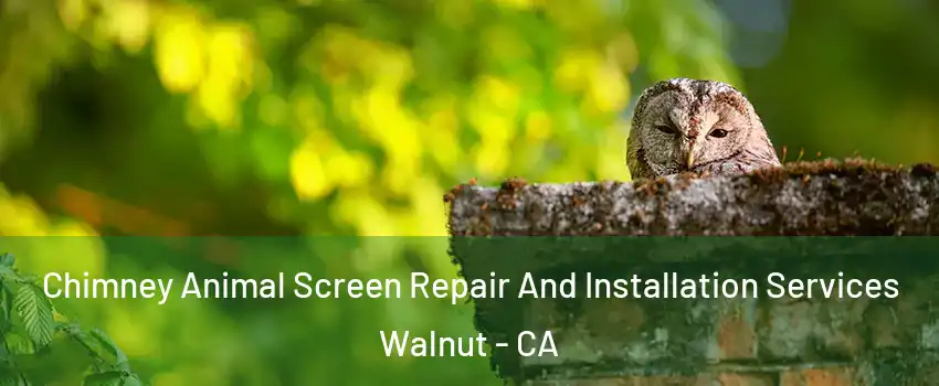  Chimney Animal Screen Repair And Installation Services Walnut - CA