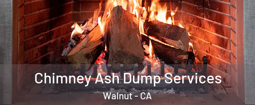  Chimney Ash Dump Services Walnut - CA