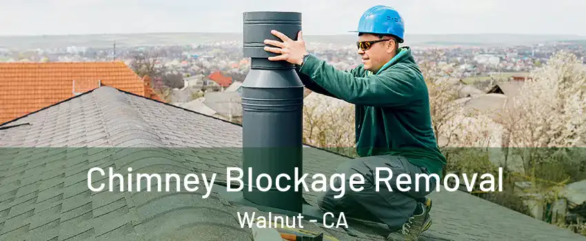  Chimney Blockage Removal Walnut - CA