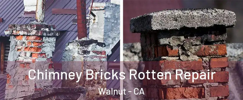  Chimney Bricks Rotten Repair Walnut - CA