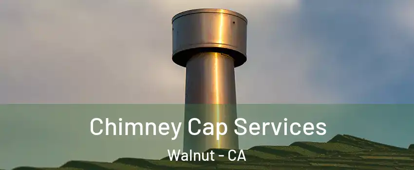  Chimney Cap Services Walnut - CA