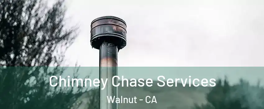  Chimney Chase Services Walnut - CA