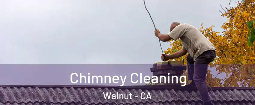  Chimney Cleaning Walnut - CA