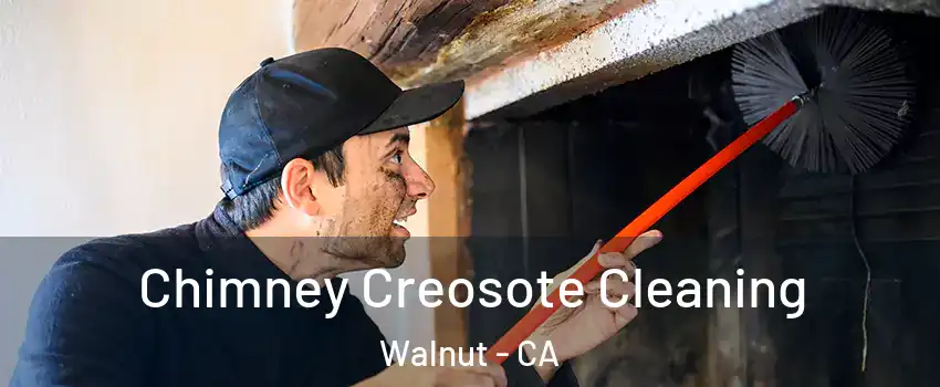  Chimney Creosote Cleaning Walnut - CA