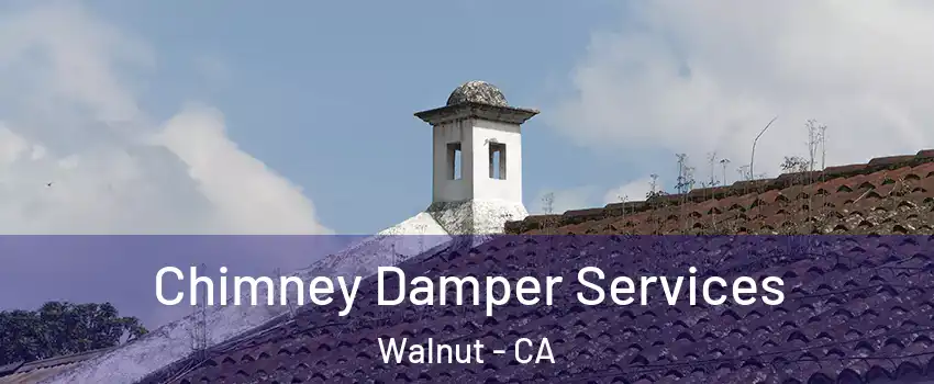  Chimney Damper Services Walnut - CA