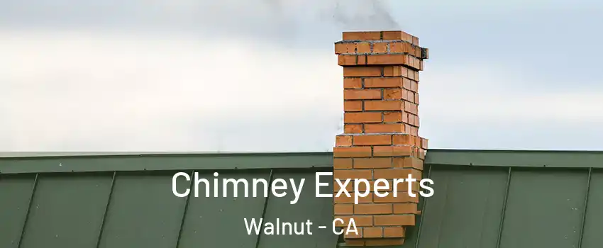  Chimney Experts Walnut - CA