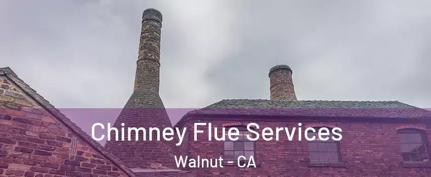  Chimney Flue Services Walnut - CA