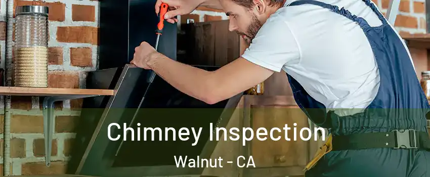 Chimney Inspection Walnut - CA
