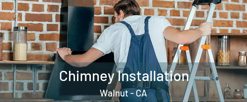  Chimney Installation Walnut - CA