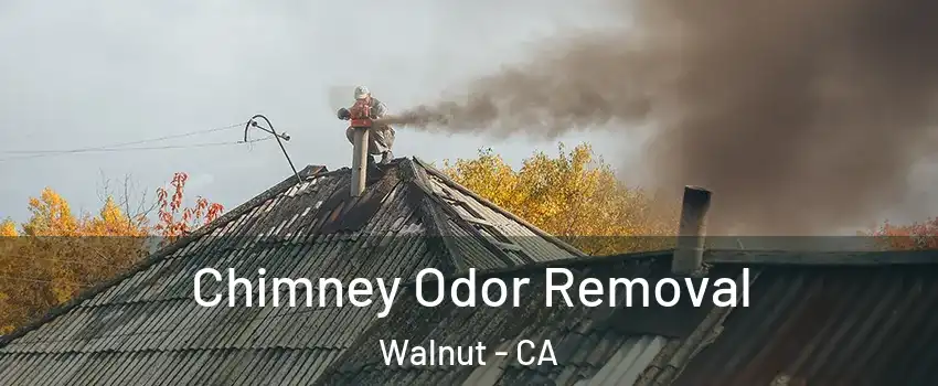 Chimney Odor Removal Walnut - CA