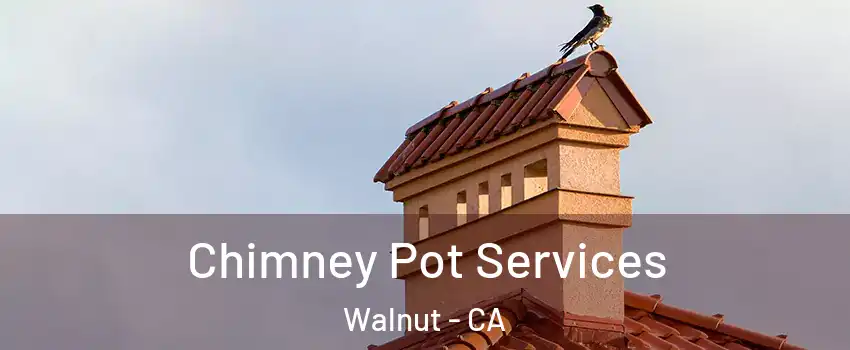  Chimney Pot Services Walnut - CA