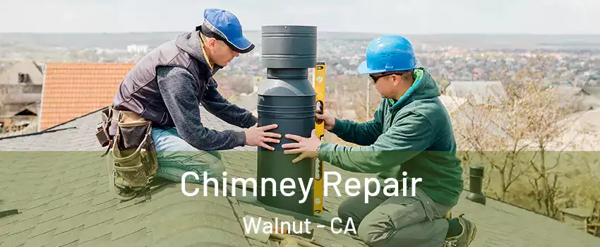  Chimney Repair Walnut - CA