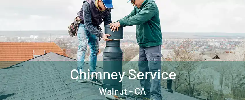  Chimney Service Walnut - CA