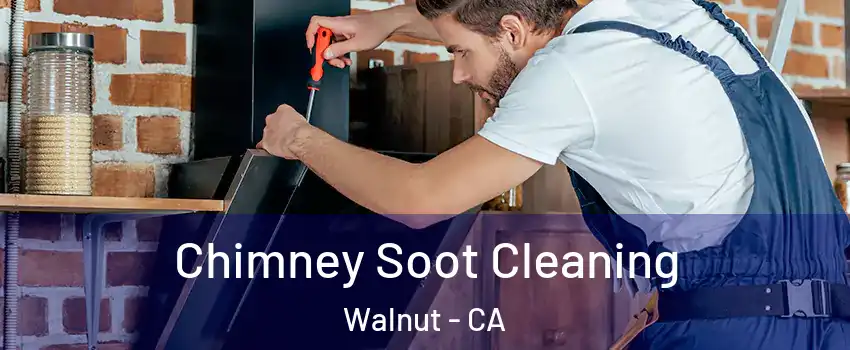  Chimney Soot Cleaning Walnut - CA