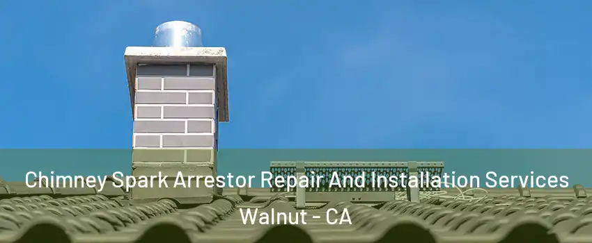  Chimney Spark Arrestor Repair And Installation Services Walnut - CA