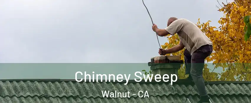  Chimney Sweep Walnut - CA