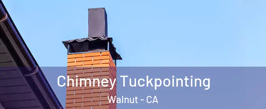  Chimney Tuckpointing Walnut - CA