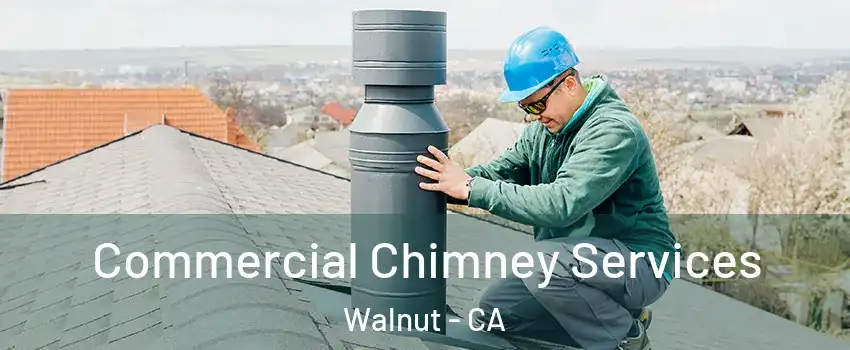  Commercial Chimney Services Walnut - CA