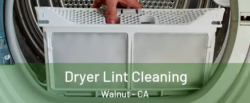  Dryer Lint Cleaning Walnut - CA