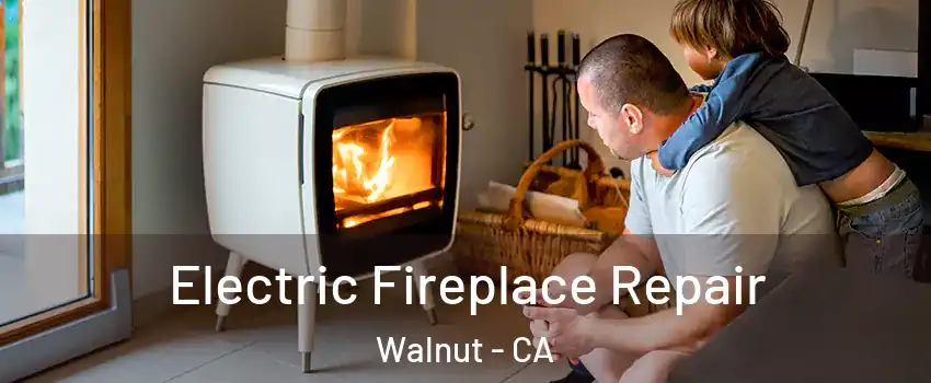  Electric Fireplace Repair Walnut - CA