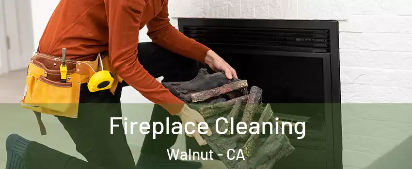  Fireplace Cleaning Walnut - CA