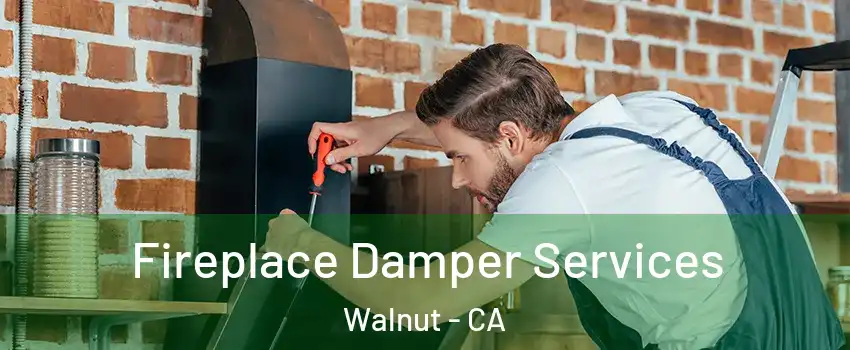  Fireplace Damper Services Walnut - CA