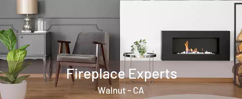  Fireplace Experts Walnut - CA