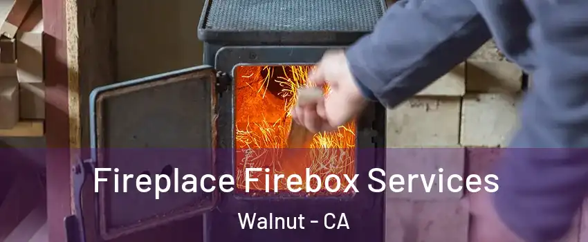  Fireplace Firebox Services Walnut - CA