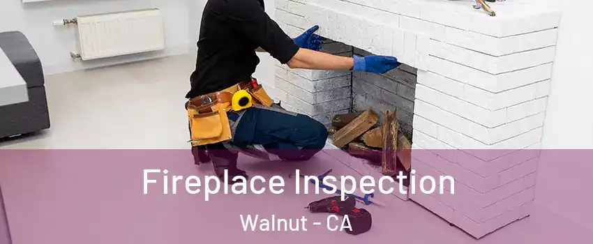  Fireplace Inspection Walnut - CA