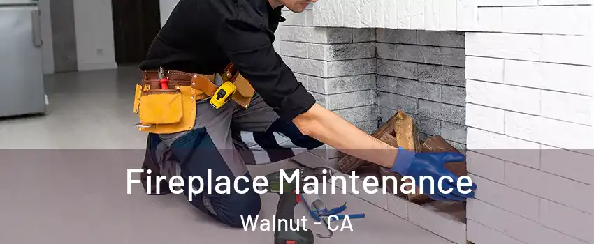  Fireplace Maintenance Walnut - CA