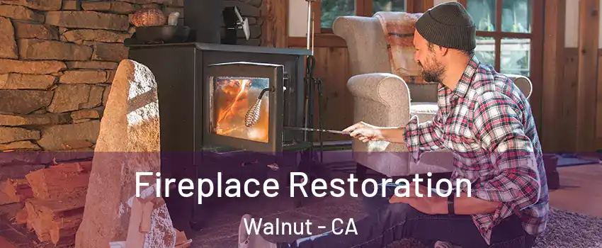  Fireplace Restoration Walnut - CA