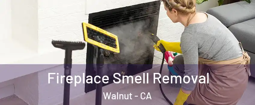  Fireplace Smell Removal Walnut - CA