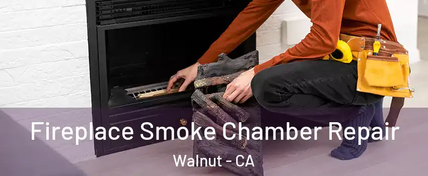 Fireplace Smoke Chamber Repair Walnut - CA