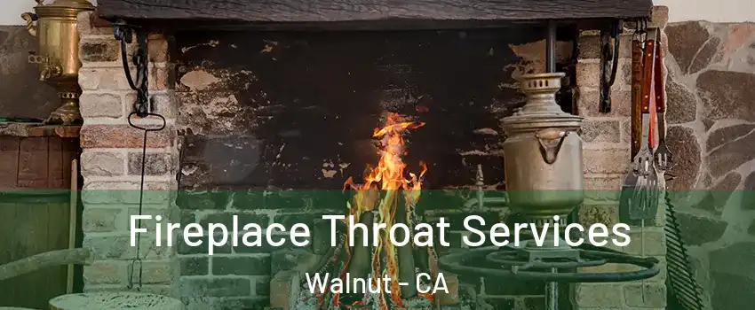  Fireplace Throat Services Walnut - CA