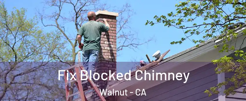  Fix Blocked Chimney Walnut - CA