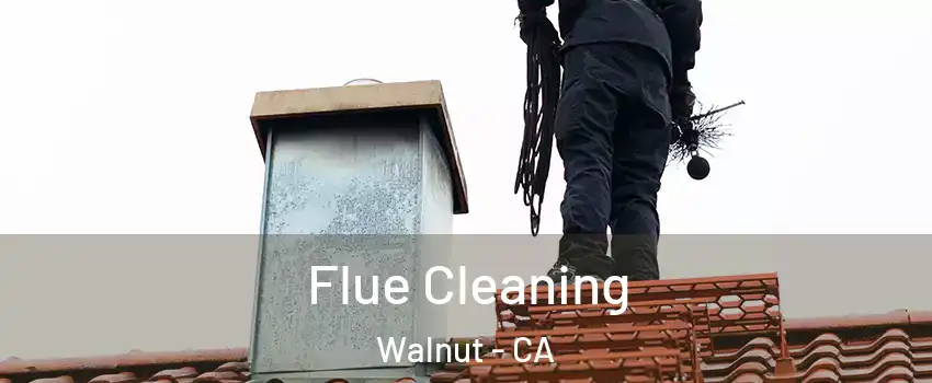  Flue Cleaning Walnut - CA