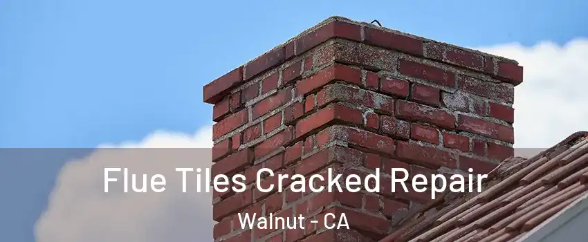  Flue Tiles Cracked Repair Walnut - CA