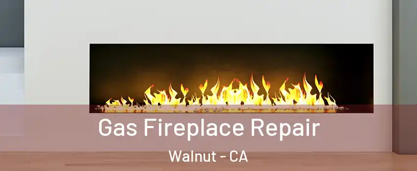  Gas Fireplace Repair Walnut - CA