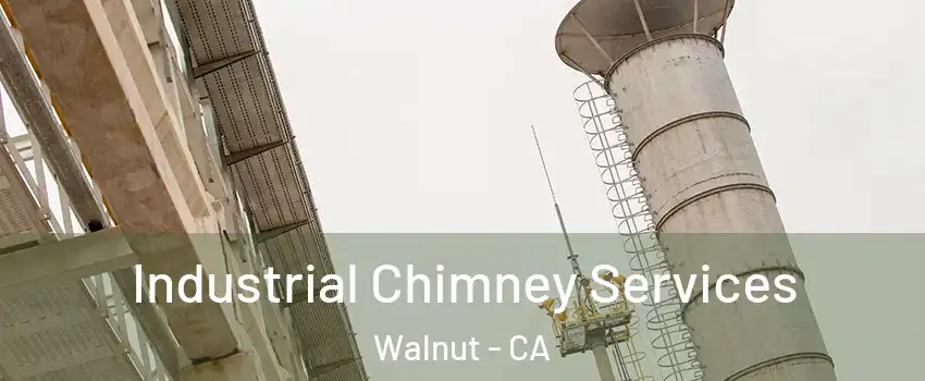  Industrial Chimney Services Walnut - CA