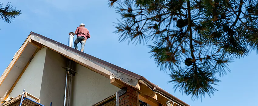 Birds Removal Contractors from Chimney in Walnut, CA