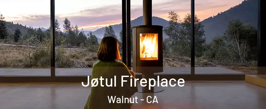  Jøtul Fireplace Walnut - CA