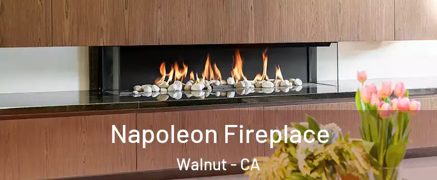  Napoleon Fireplace Walnut - CA