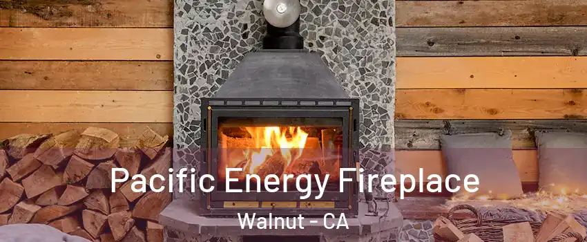  Pacific Energy Fireplace Walnut - CA