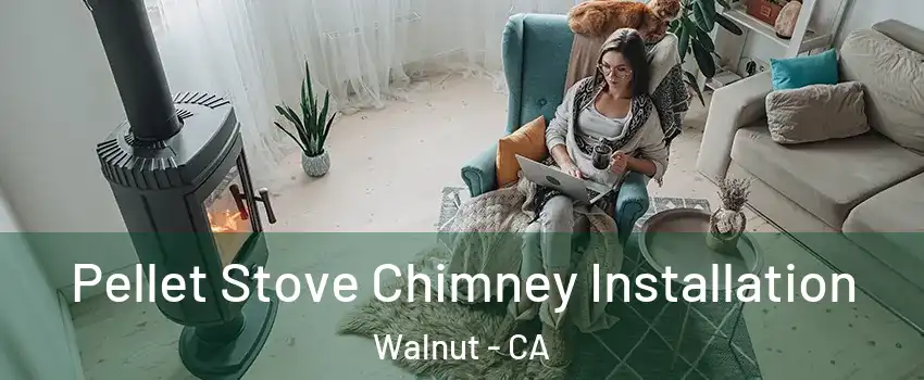  Pellet Stove Chimney Installation Walnut - CA