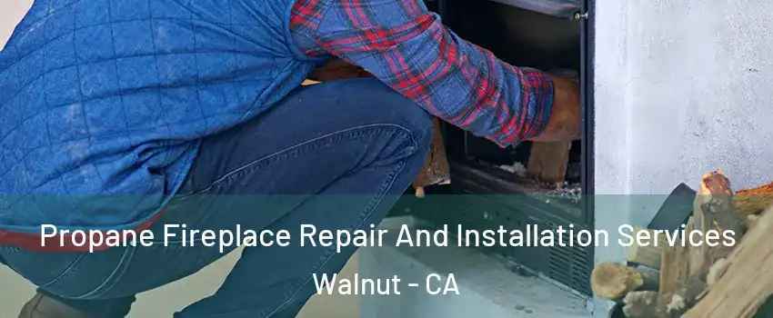  Propane Fireplace Repair And Installation Services Walnut - CA