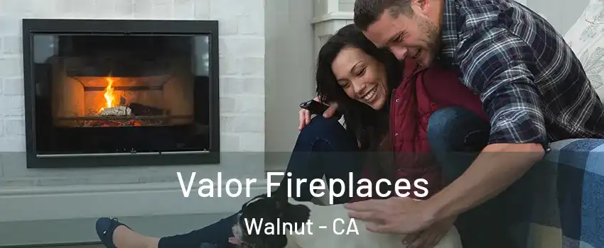  Valor Fireplaces Walnut - CA